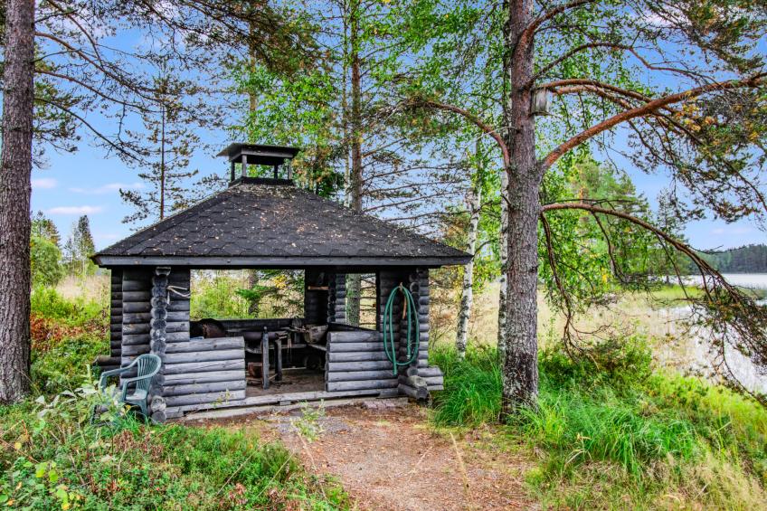 Metsäneuvos - foto 4