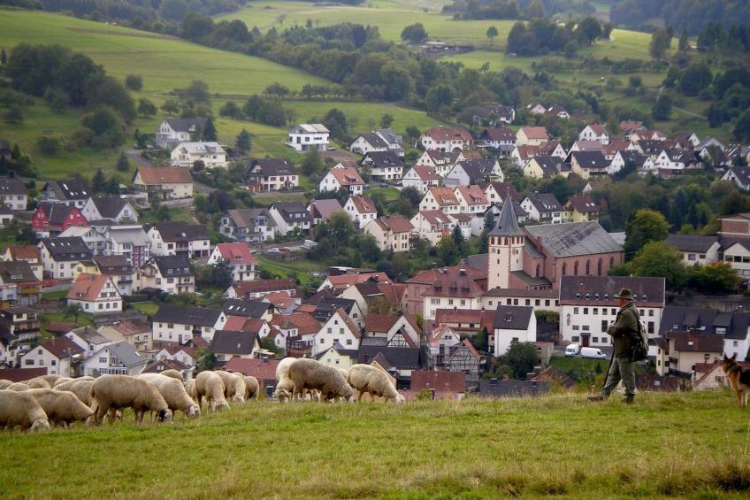 in ruhiger Lage - foto 7