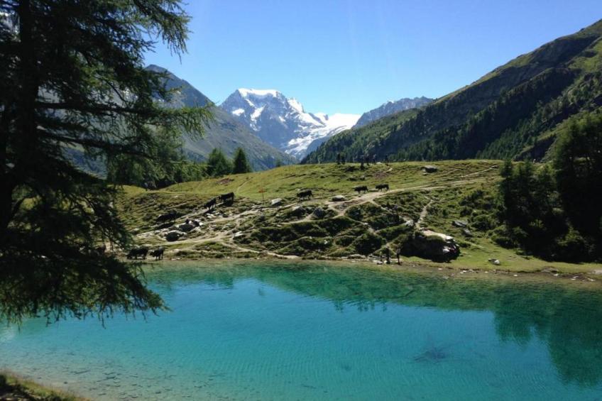 Paradis Perdu SKI IN & QUIET chalet 14 personnes - foto 23