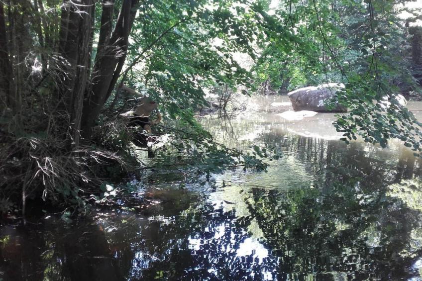 Wassermühle am Fluss - foto 24