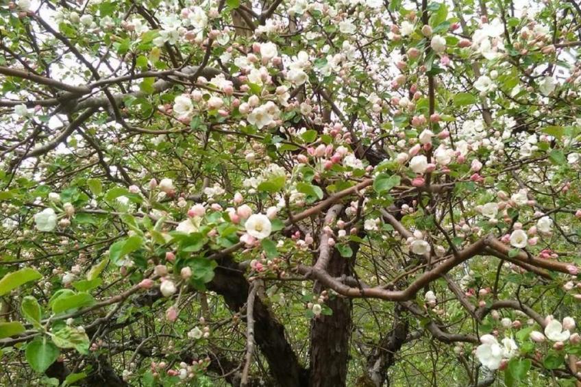 Gemütliches Haus in Arvika mit Garten und Grill - foto 3