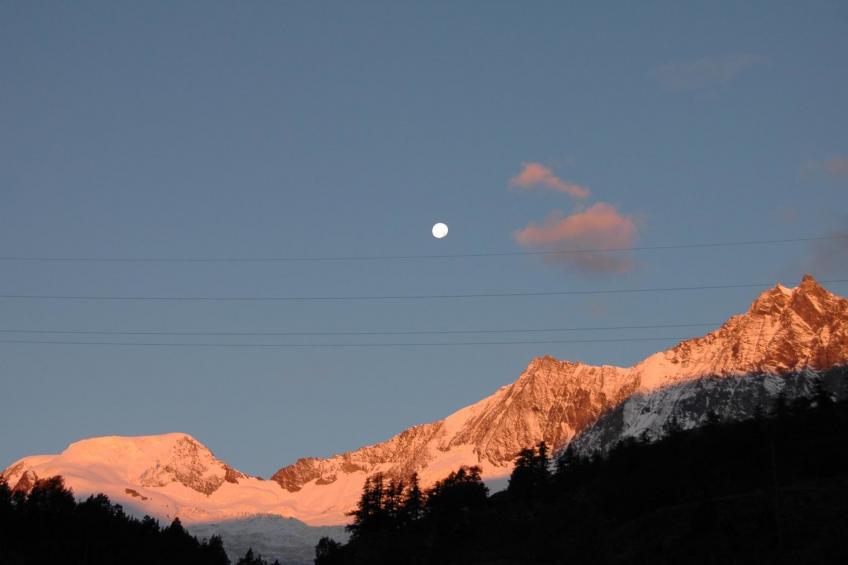 Wiedersehen - foto 11