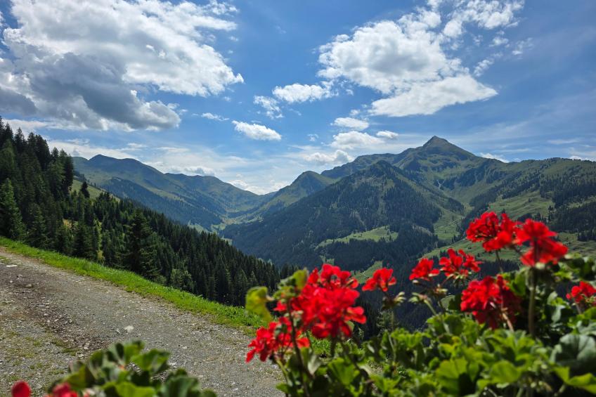 EAGGA-Niederleger Alm - foto 39