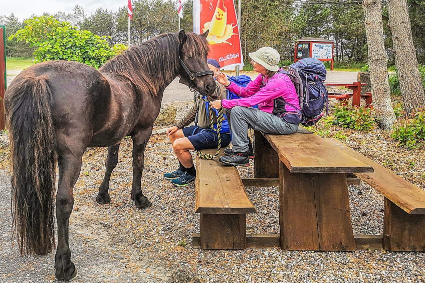 Skovhytte 4 personer - foto 13