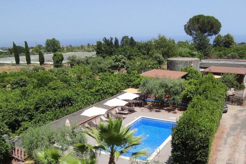 Le Palme in linera - foto 4