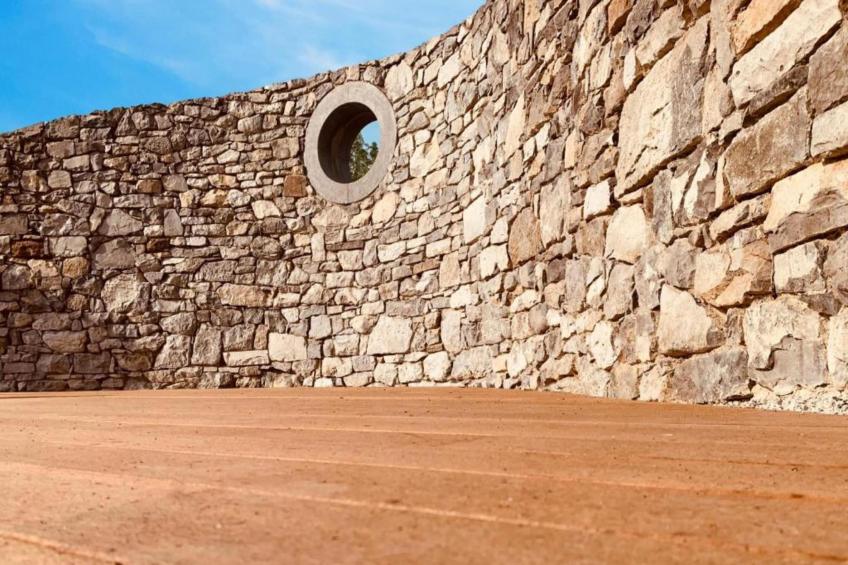 Les secrets du chat - foto 38