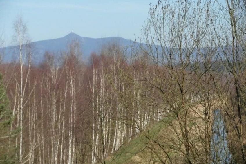Traditionelles Haus, umgeben von Wäldern in Ralsko - foto 31