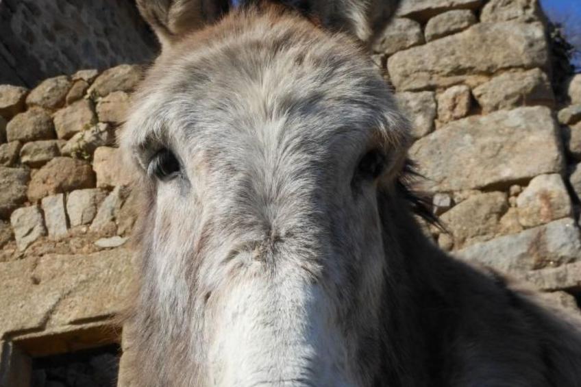Gîte de Chapelèche Les Châtaigniers für 7 Pers. - foto 28