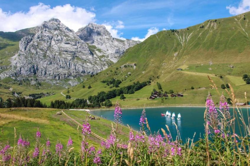 Residence Les Chalets d'Evian - foto 33