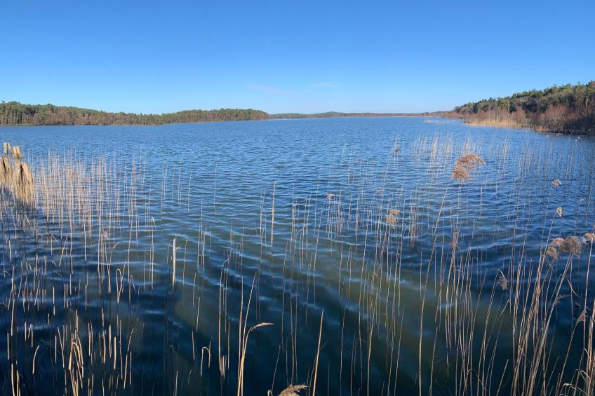 Ferien an der Ostsee - foto 31