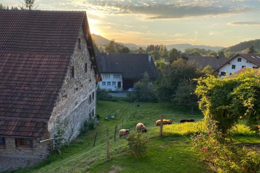 Ferien im Baudenkmal Mühle - foto 13