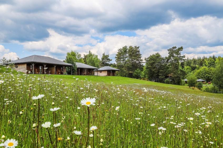 Le Domaine des MonÃ©diÃ¨res - Chalet 3 piÃ¨ces 6 personnes - PMR - foto 33