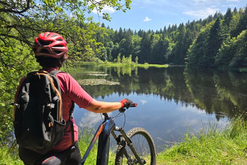 Le Chalet Sous Les Sapins, mit Swimmingpool, Sauna - foto 20