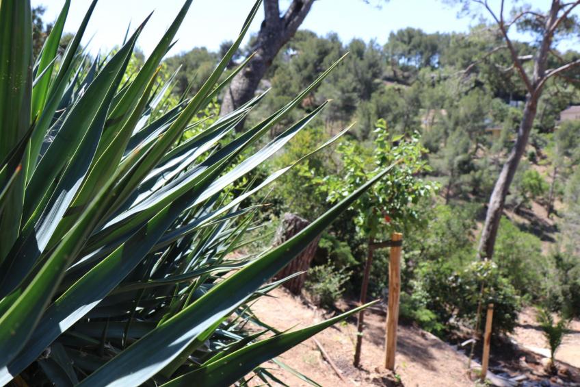 Wohnung "Mesomax RDC" in Strandnähe mit Meerblick - foto 40
