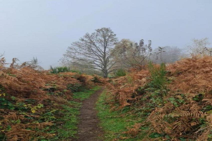 Maison de vacances - ESMOULIÈRES - foto 20