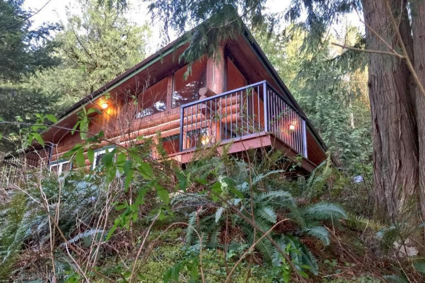 Lakeside Real Log Cabin mit privatem Dock, Haustiere OK - foto 3
