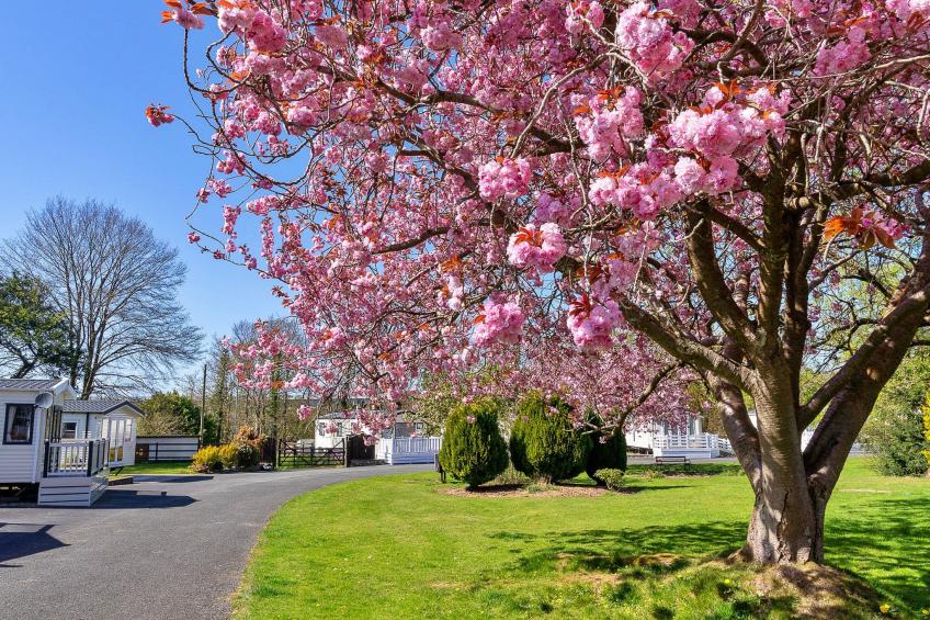 Lindisview - foto 24