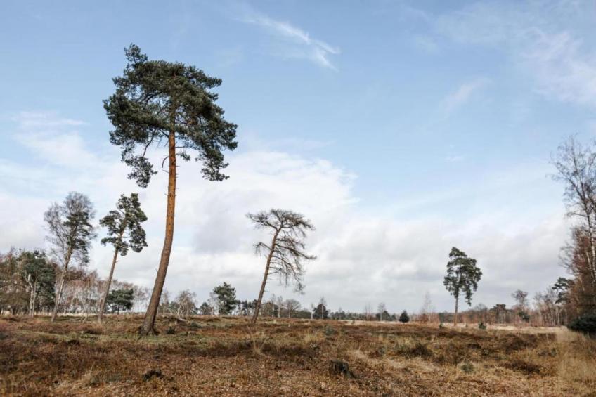 Resort De Heihorsten 10 - foto 28