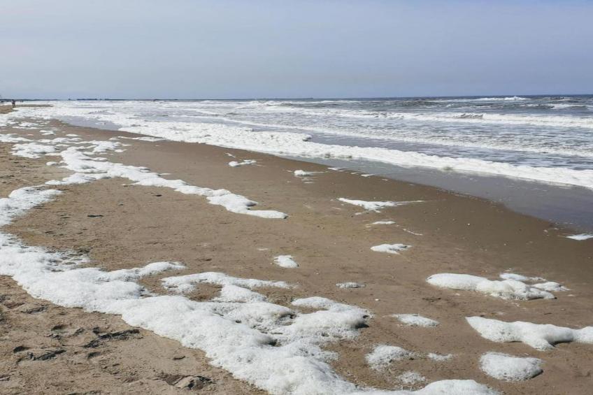 Resort Beach Houses Wijk aan Zee 5 - foto 19