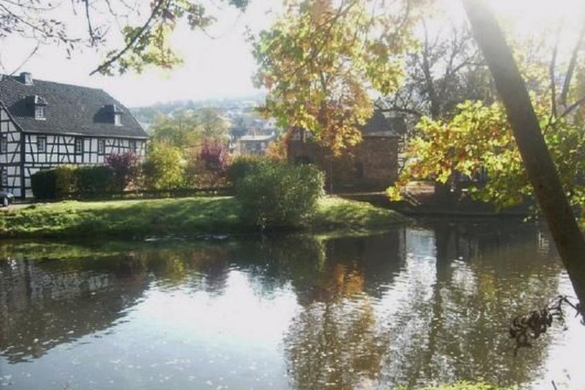 in Waldbreitbach mit Whirlpool - foto 14