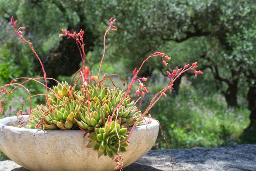 Traditionelle Villa mit privatem Pool - foto 43