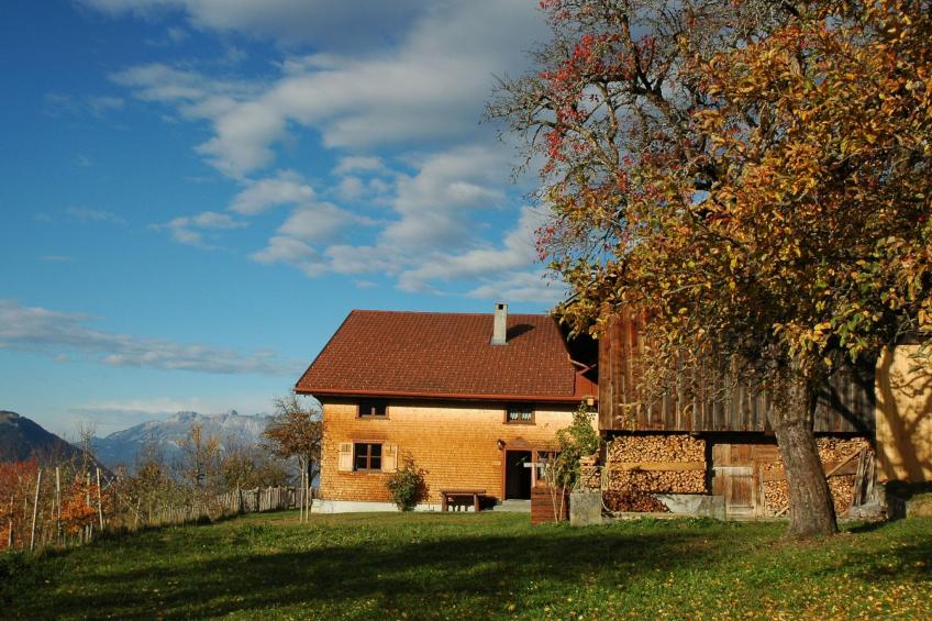 Dünser in Dünserberg - foto 2