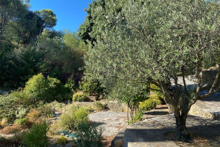 In der Provence, Außergewöhnliche Villa, Okzitanien, Gard - foto 7