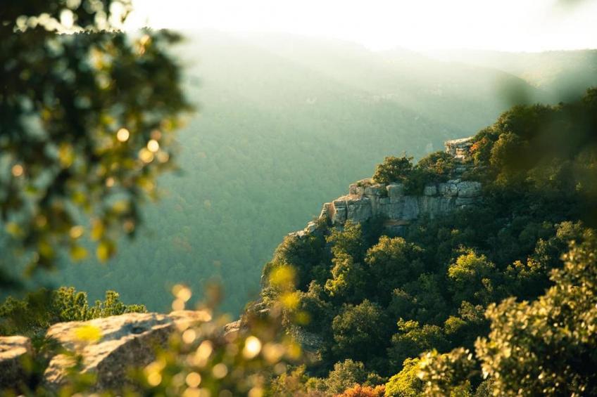 Mas de l'Arlequi - foto 36