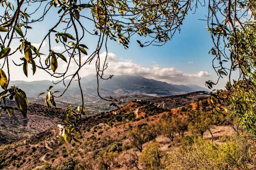 Tortuga - Nido Aguila Blanca - foto 22