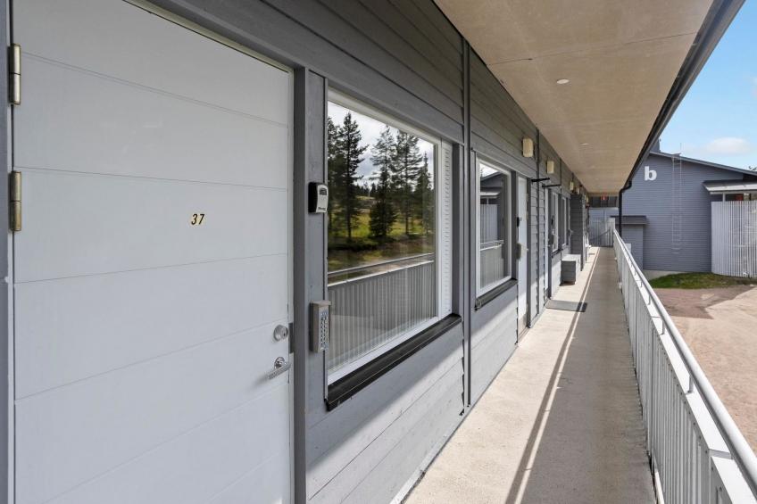 Talvitähti c 37 - foto 2