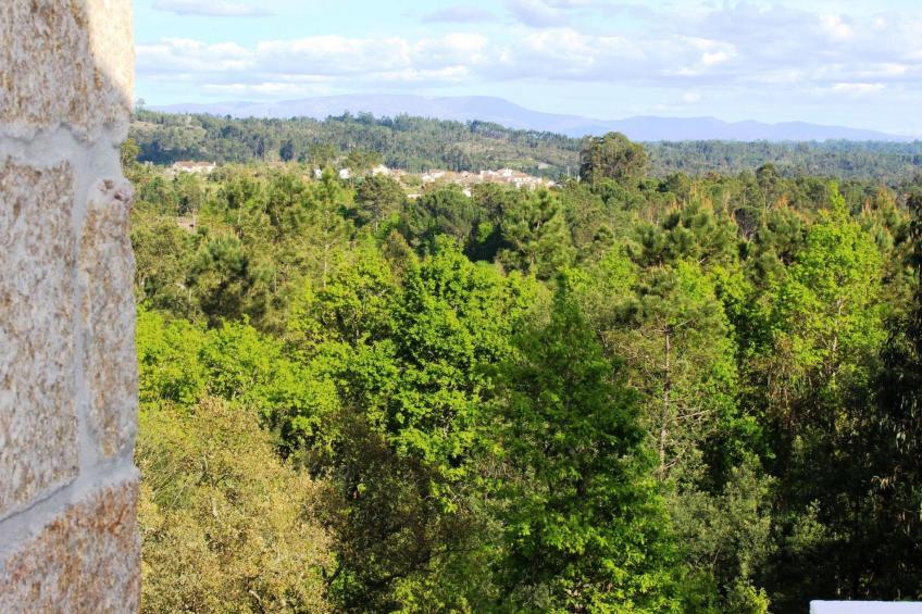 Renoviertes Landhaus für 4 Personen in Tondela - foto 19