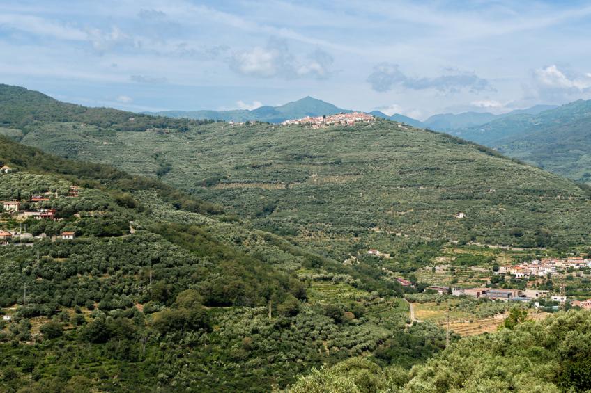 Ca'de Pauline - foto 26