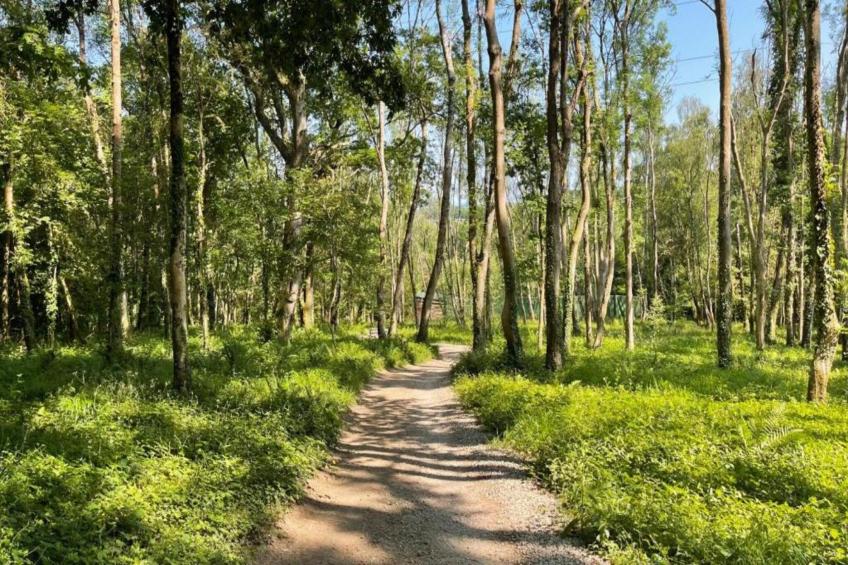 Hever Luxury Dome - foto 10