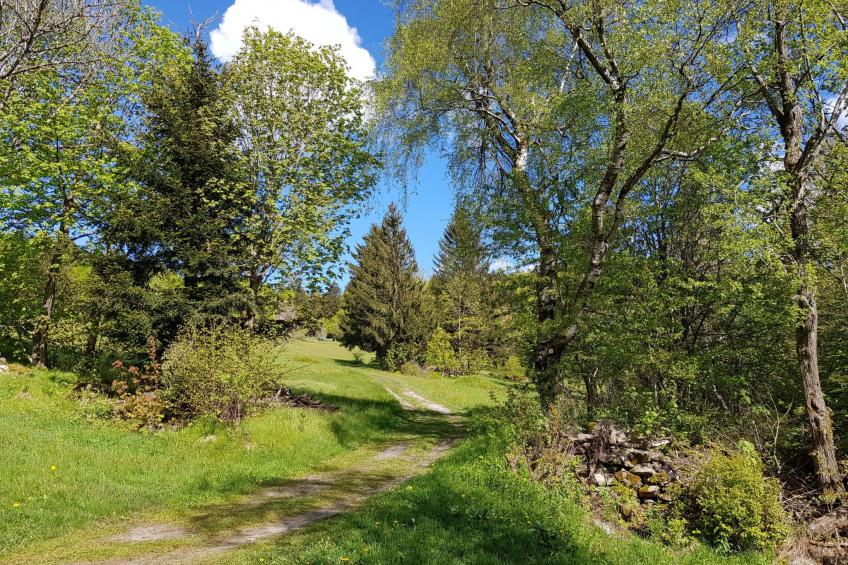 Charmante Wohnung in Langfurth mit Kleinem Balkon - foto 17