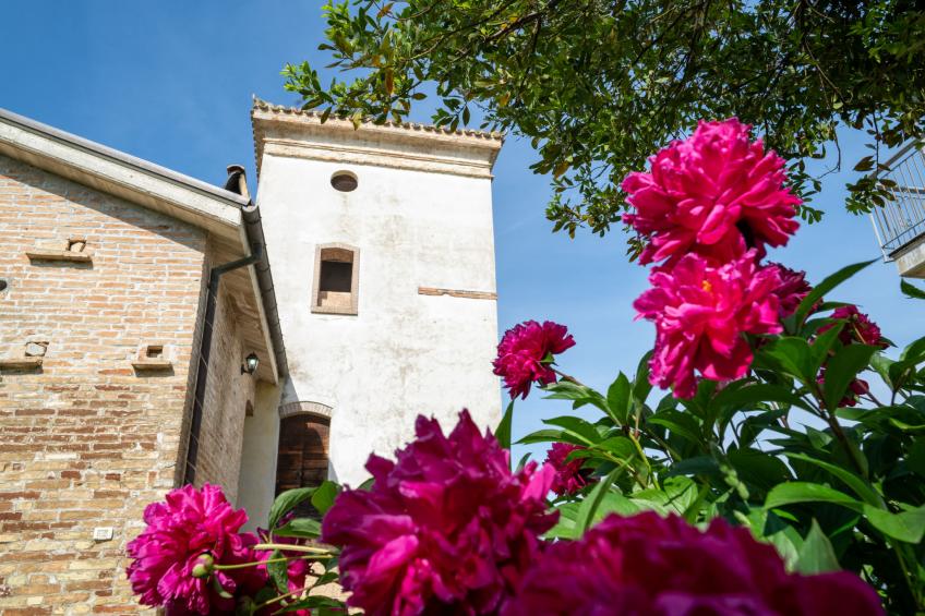 Torretta - foto 27