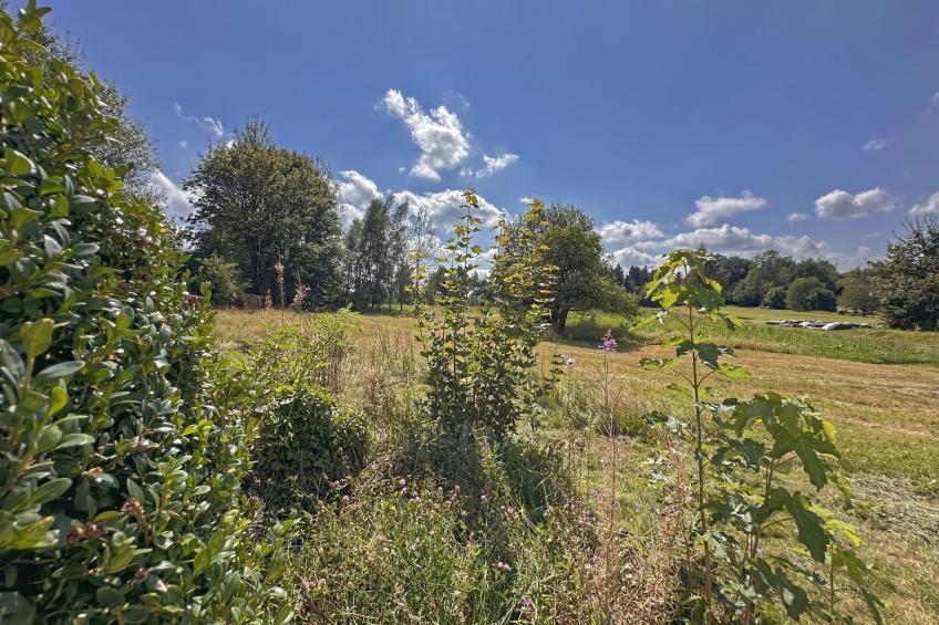 Zum wilden Jakob - foto 32