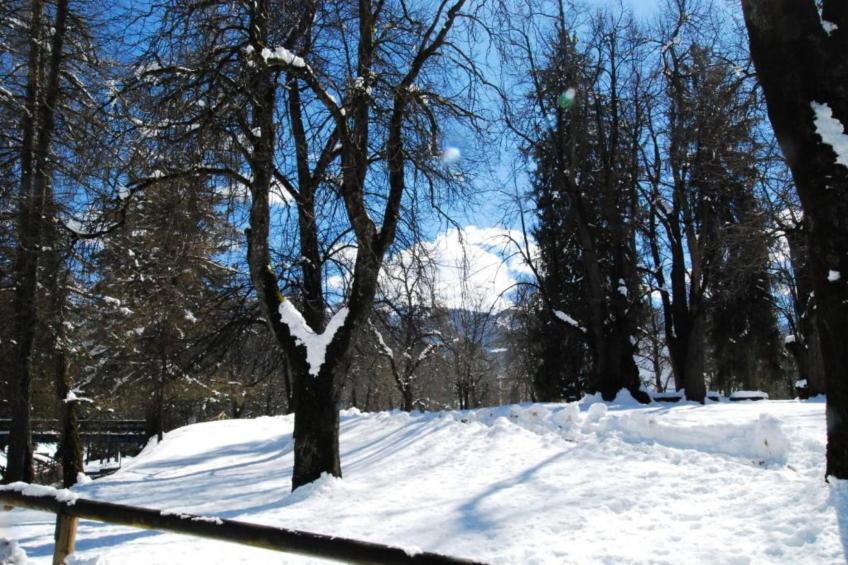 Residence Le Plejadi - foto 25