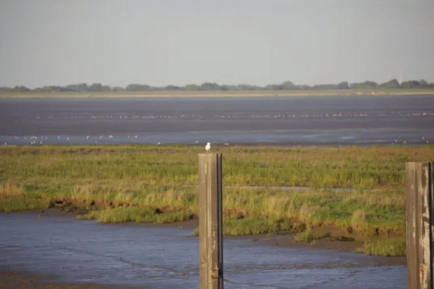 Traumhaftes Reetdachhaus an der Nordsee - foto 47
