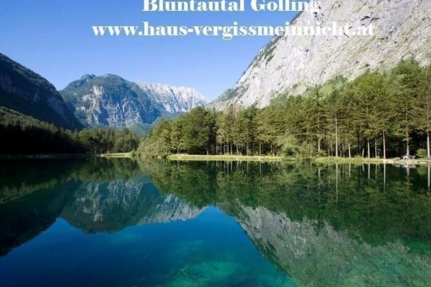 Luxusappartment - foto 41