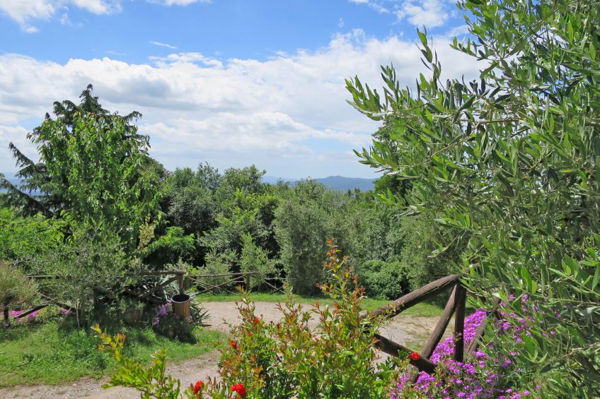 Castello di Civitella (ROC202) - foto 15