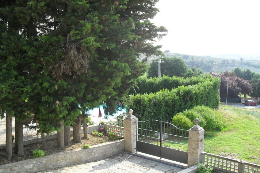 Glicine - foto 36