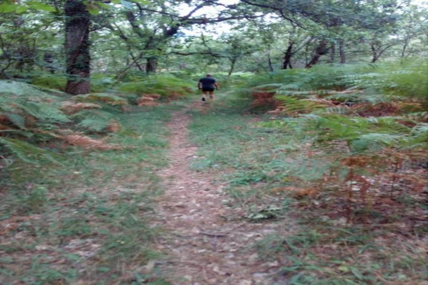 Les Coquelicots - foto 30