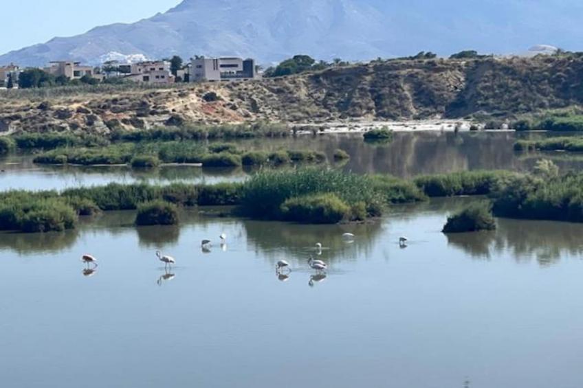 Precioso piso en Garrucha - foto 37