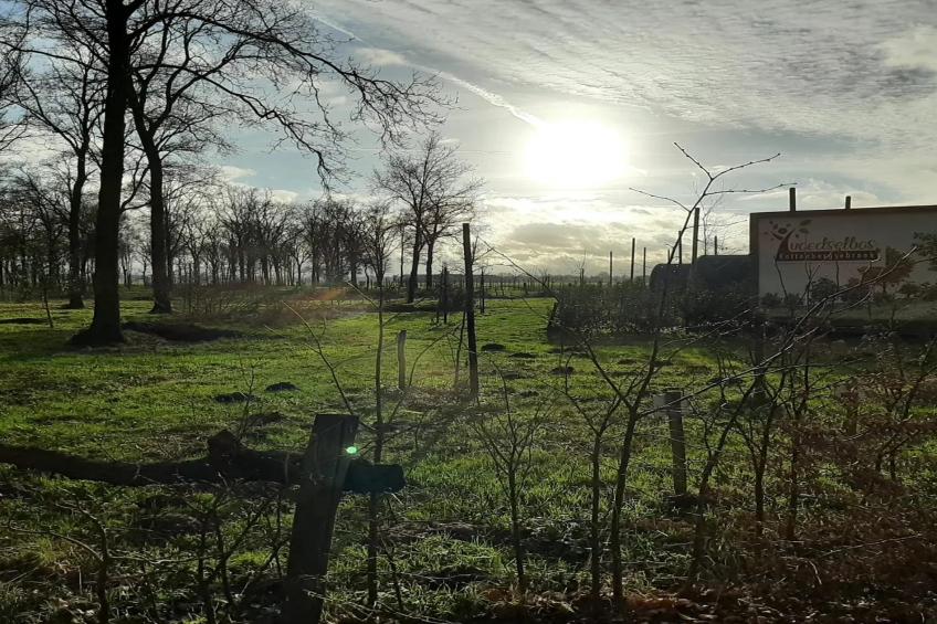 De Ree en de Specht - foto 19