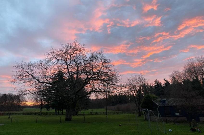 Vakantiepark De Lochemse Berg 2 - foto 28