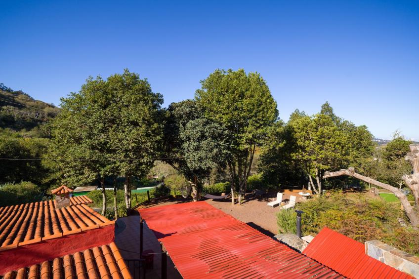 Sombra del Laurel - foto 29