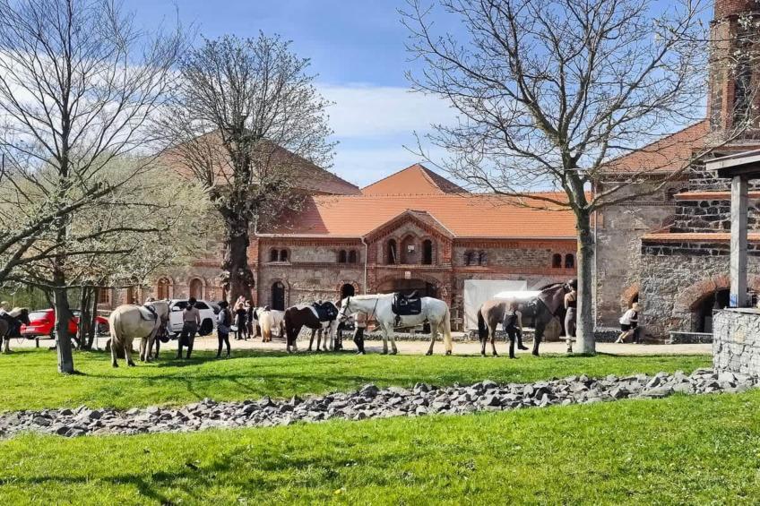 TH1 4P+20€(5) Immer - foto 23