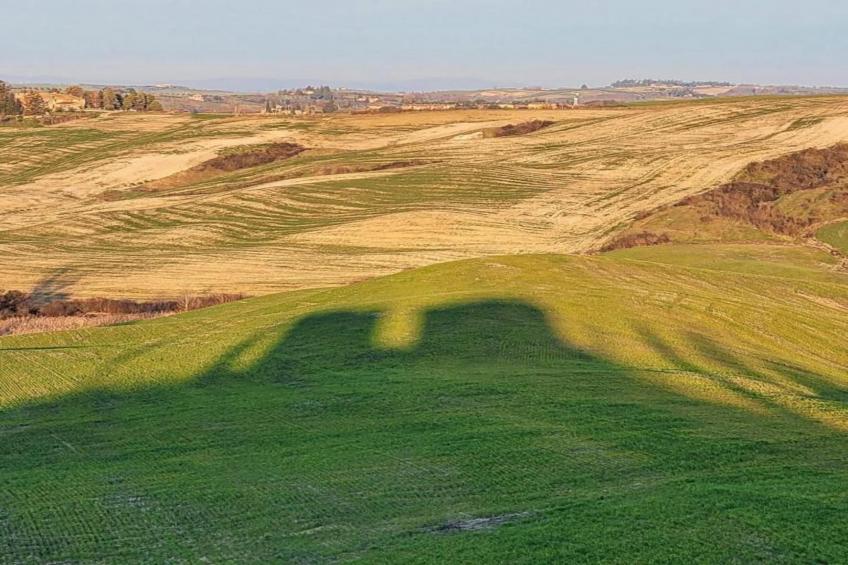 Appartamento Dante - foto 35