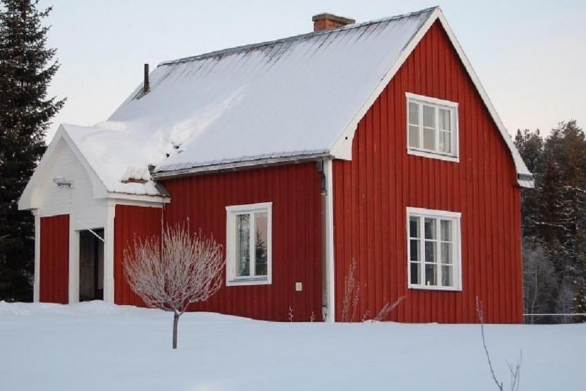 in Sorsele mit Gemeinsamem Garten - foto 3