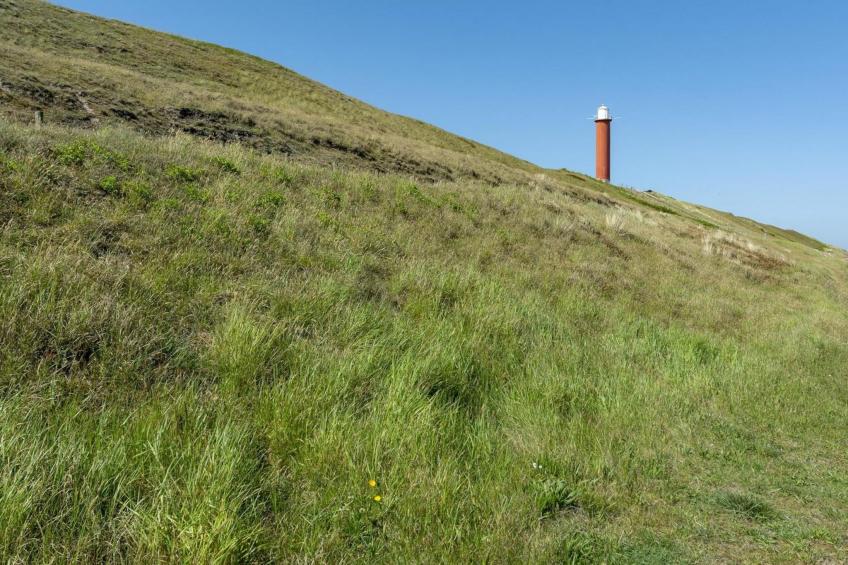 Strandleven 106 - foto 16